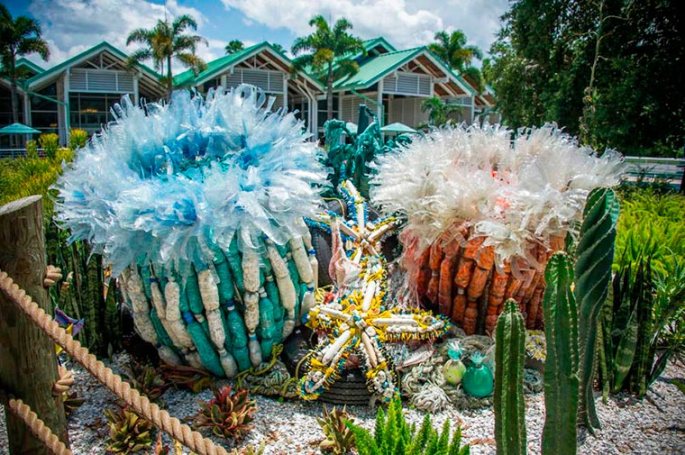 anomone-washedashore