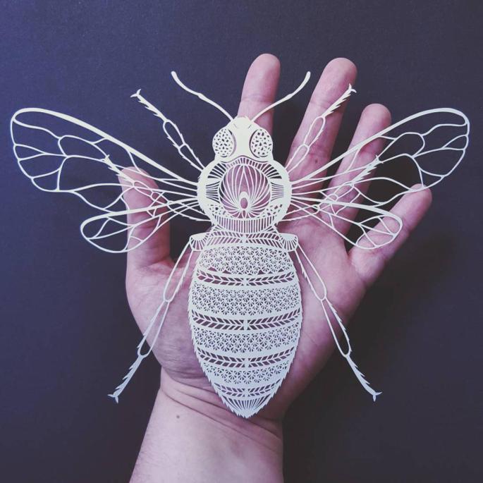 papercut-art-pippa-dyrlaga-4